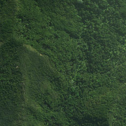 Satellite imagery of Mokaikai Pa, NZ