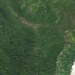 Satellite imagery of Te Topito Head, NZ