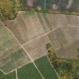 Satellite imagery of Cerro Patos, CL