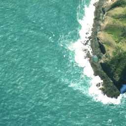 Satellite imagery of Waitapu Point, NZ