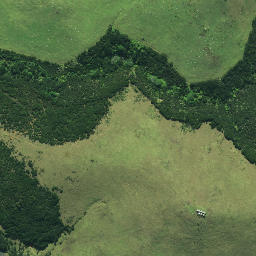 Satellite imagery of 191, NZ