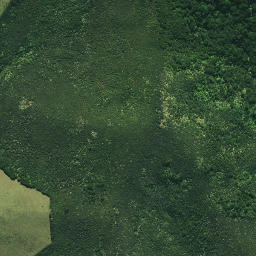 Satellite imagery of 191, NZ