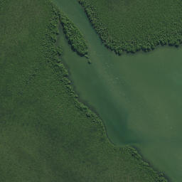 Satellite imagery of Waikirikiri Point, NZ
