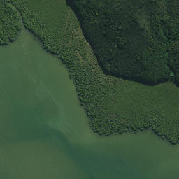 Satellite imagery of Waikirikiri Point, NZ