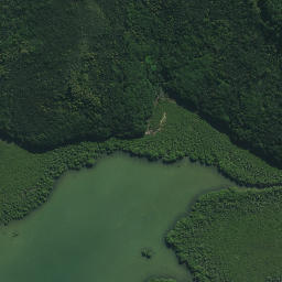 Satellite imagery of Waikirikiri Point, NZ