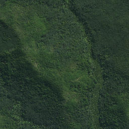 Satellite imagery of Mokaikai Pa, NZ