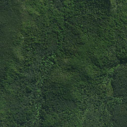 Satellite imagery of Mokaikai Pa, NZ