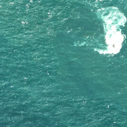 Satellite imagery of Waitapu Point, NZ