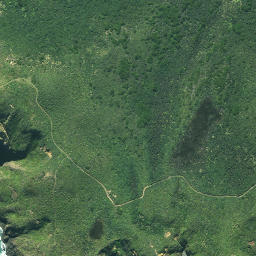 Satellite imagery of Maungatiketike Point, NZ