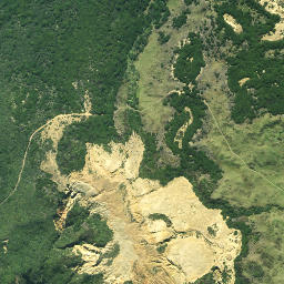 Satellite imagery of Maungatiketike Point, NZ