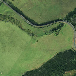 Satellite imagery of 191, NZ