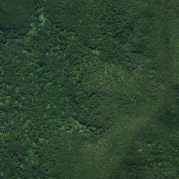 Satellite imagery of KOHURONAKI, NZ