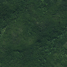 Satellite imagery of Ngaiwituararoa Pa, NZ