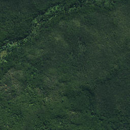 Satellite imagery of Ngaiwituararoa Pa, NZ