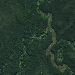 Satellite imagery of Ngaiwituararoa Pa, NZ