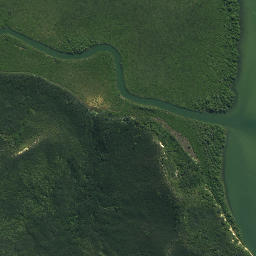 Satellite imagery of Waikirikiri Point, NZ