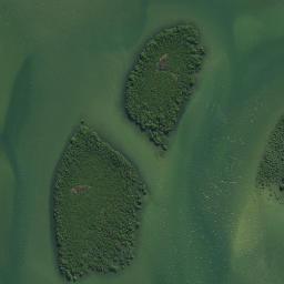 Satellite imagery of Waikirikiri Point, NZ