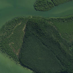 Satellite imagery of Te Pokere Pa, NZ