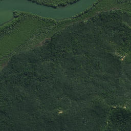 Satellite imagery of Te Pokere Pa, NZ