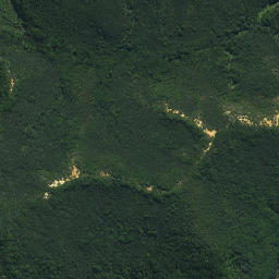 Satellite imagery of Te Pokere Pa, NZ