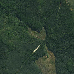 Satellite imagery of Mokaikai Pa, NZ