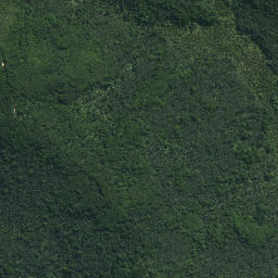 Satellite imagery of Mokaikai Pa, NZ