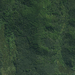 Satellite imagery of Mokaikai Pa, NZ