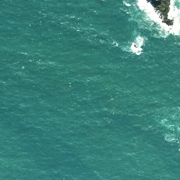 Satellite imagery of Maungatiketike Point, NZ