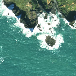 Satellite imagery of Maungatiketike Point, NZ