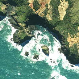 Satellite imagery of Pitokuku Point, NZ