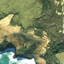 Satellite imagery of Pitokuku Point, NZ