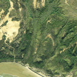 Satellite imagery of Pitokuku Point, NZ
