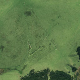 Satellite imagery of 191, NZ