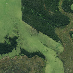 Satellite imagery of 191, NZ