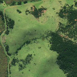 Satellite imagery of 191, NZ