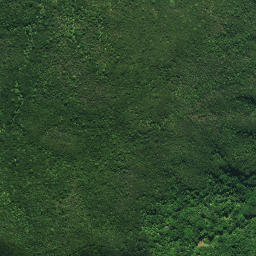 Satellite imagery of KOHURONAKI, NZ