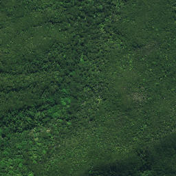 Satellite imagery of KOHURONAKI, NZ