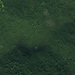 Satellite imagery of Ngaiwituararoa Pa, NZ