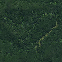 Satellite imagery of Ngaiwituararoa Pa, NZ
