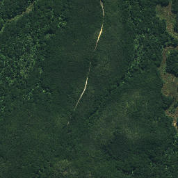 Satellite imagery of Ngaiwituararoa Pa, NZ