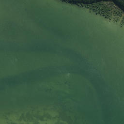 Satellite imagery of Te Pokere Pa, NZ