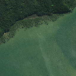 Satellite imagery of Te Pokere Pa, NZ
