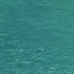 Satellite imagery of Maungatiketike Point, NZ