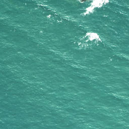 Satellite imagery of Pitokuku Point, NZ