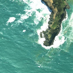 Satellite imagery of Pitokuku Point, NZ