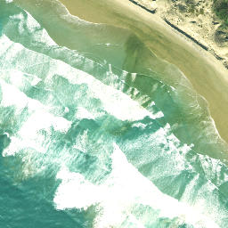 Satellite imagery of Pitokuku Point, NZ