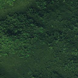 Satellite imagery of KOHURONAKI, NZ