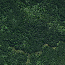 Satellite imagery of Ngaiwituararoa Pa, NZ