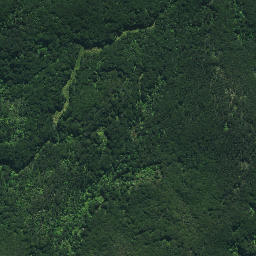 Satellite imagery of Ngaiwituararoa Pa, NZ
