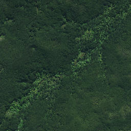 Satellite imagery of Ngaiwituararoa Pa, NZ